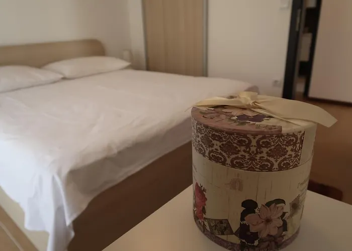 Sunshine トロギール