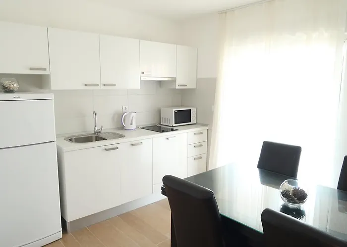 Sunshine トロギール