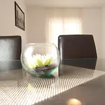 Sunshine טרוגיר