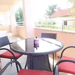 Sunshine טרוגיר