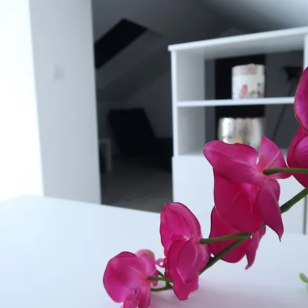 Sunshine Appartement *