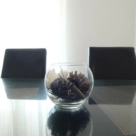 Sunshine * Τρογκίρ