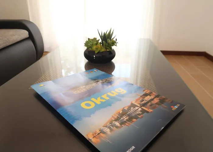 Sunshine 特罗吉尔