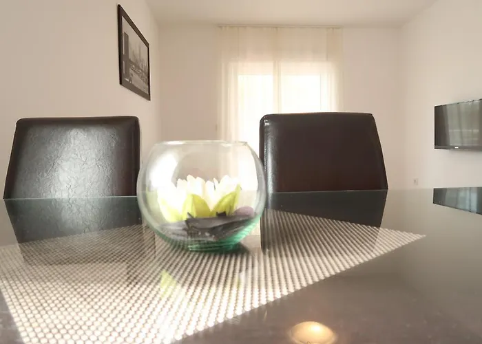 Sunshine 特罗吉尔